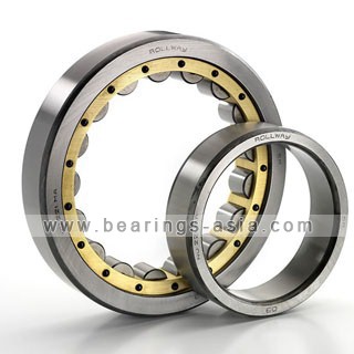Cylindrical Roller Bearings