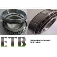 Flange on outer ring